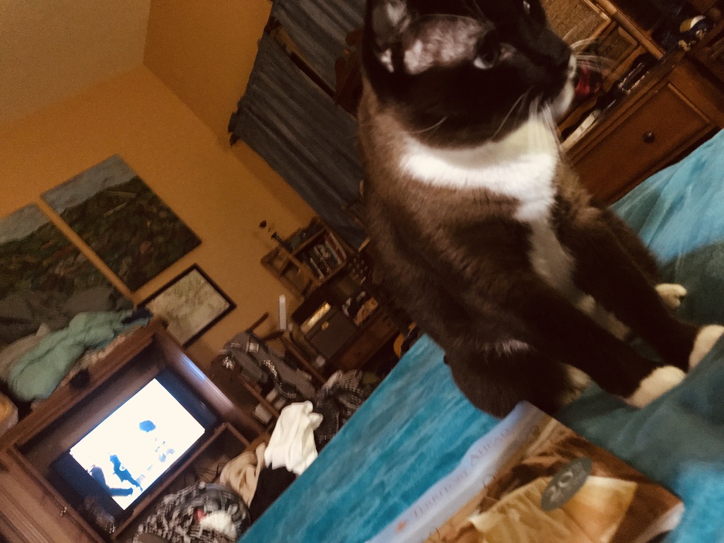 click for larger size