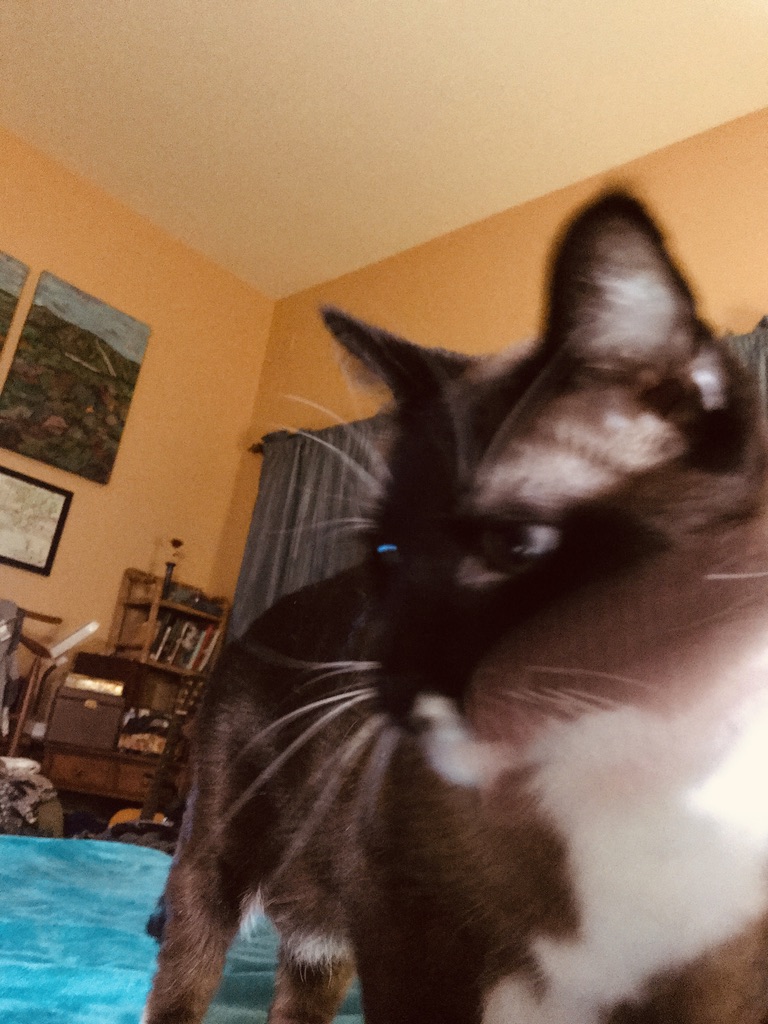 click for larger size