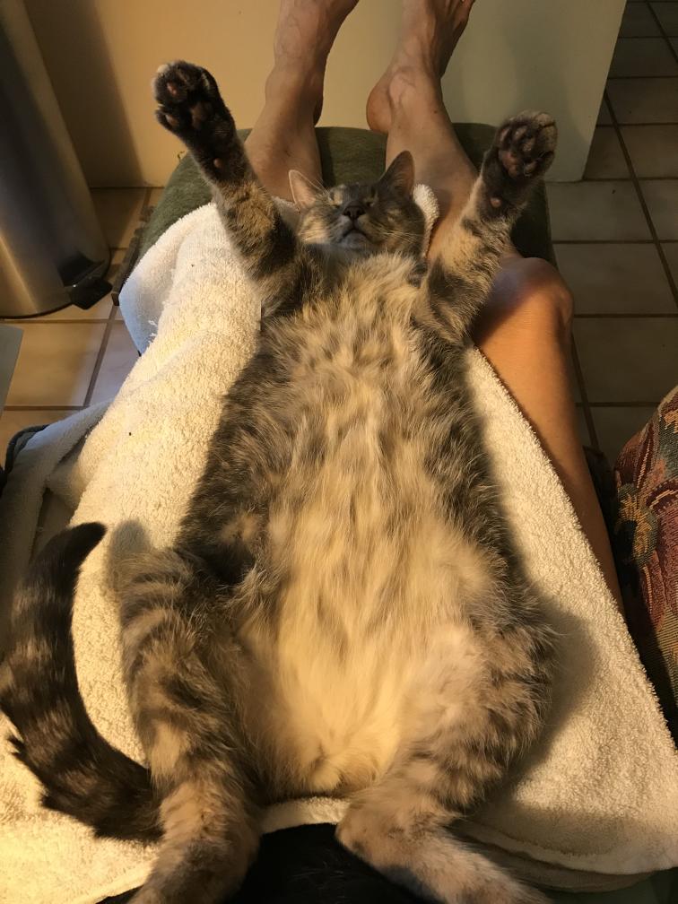 click for larger size