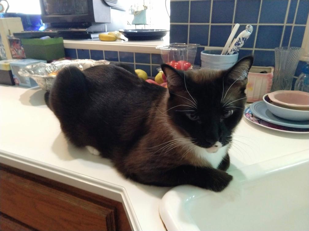 click for larger size