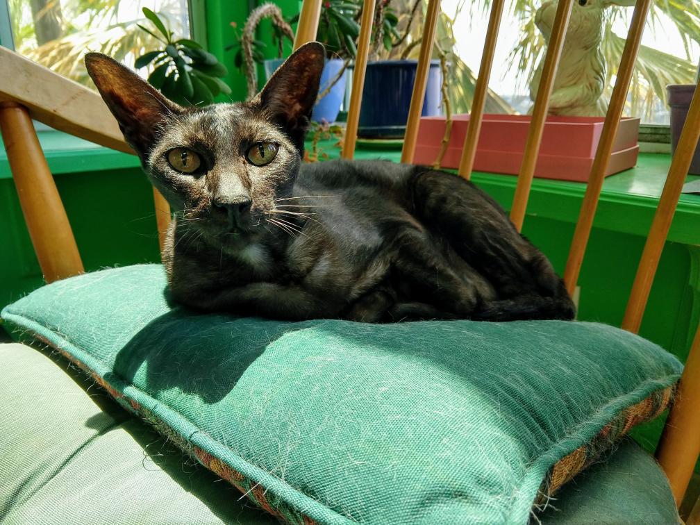 click for larger size