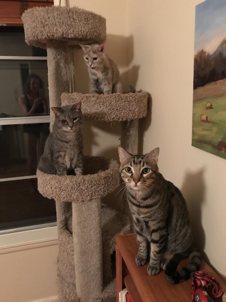 click for larger size