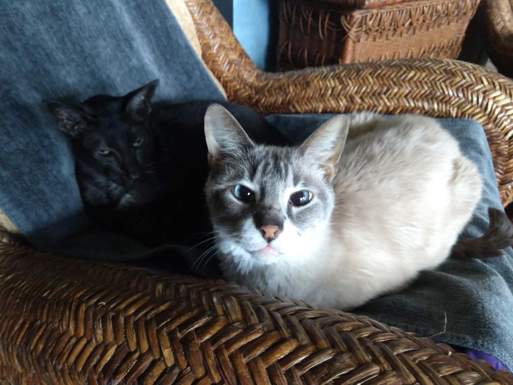 click for larger size