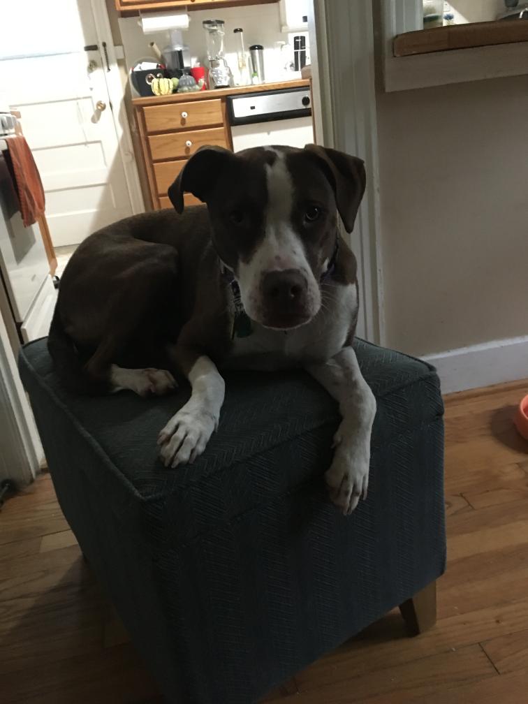 click for larger size