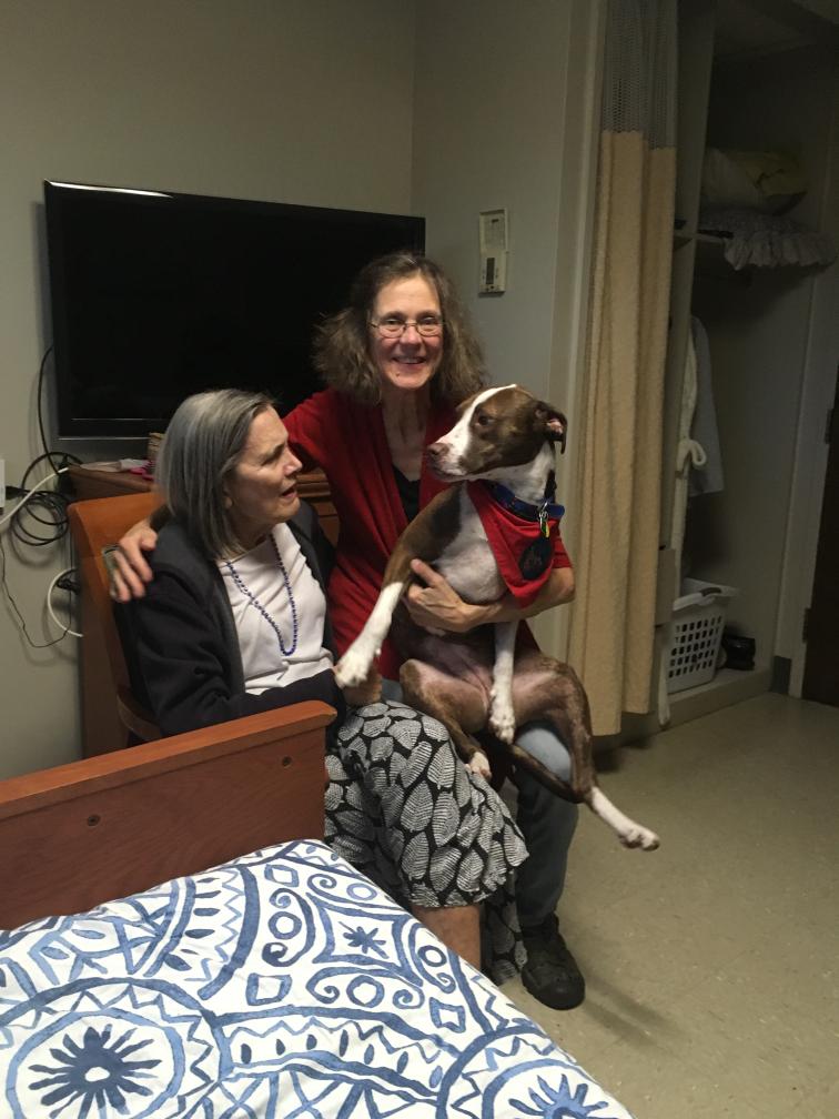 click for larger size