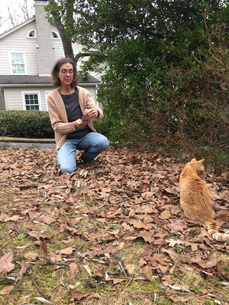 click for larger size