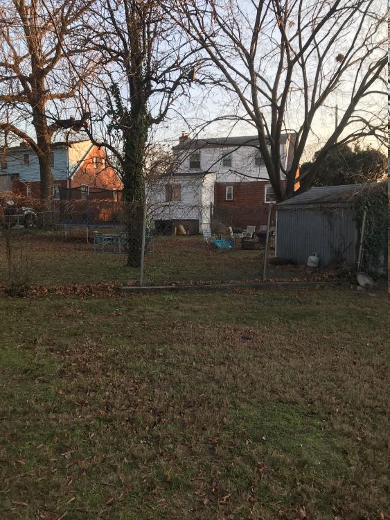 click for larger size