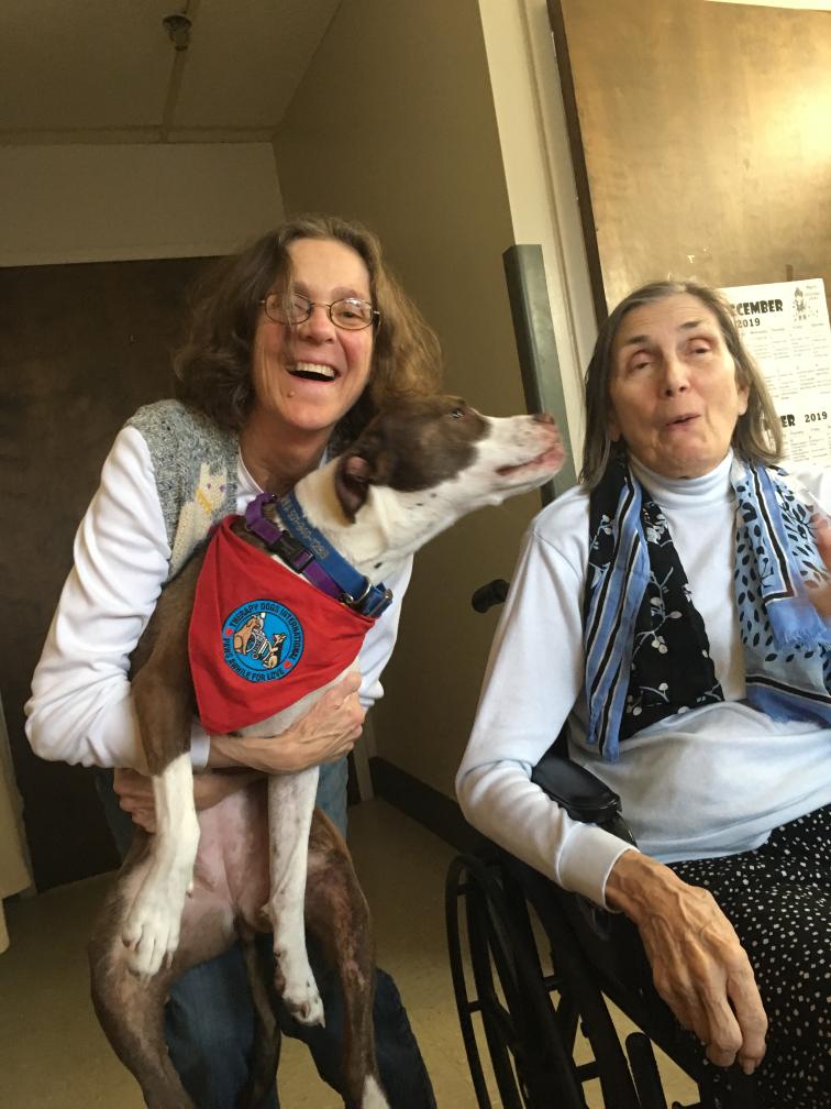 click for larger size