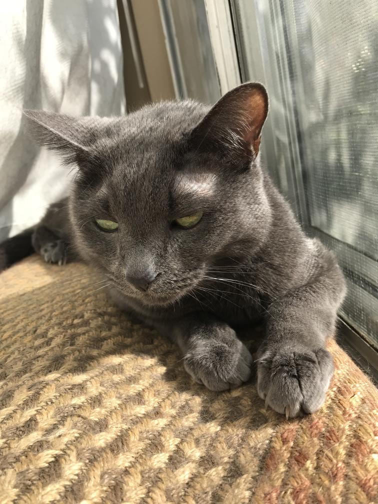 click for larger size