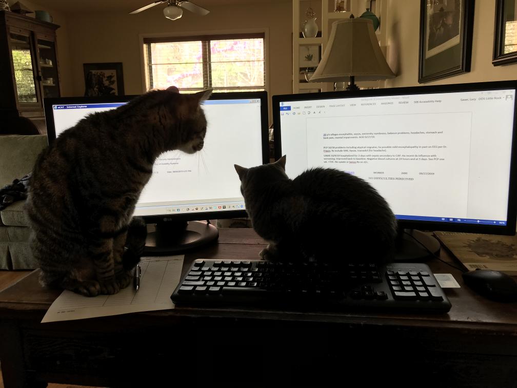 click for larger size