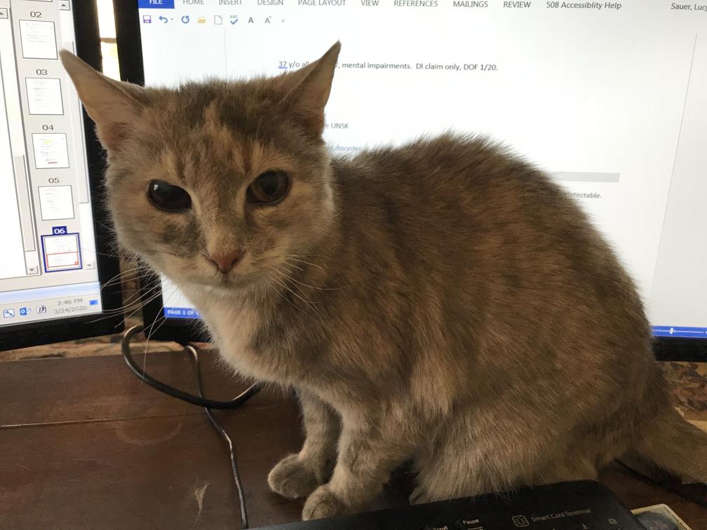 click for larger size