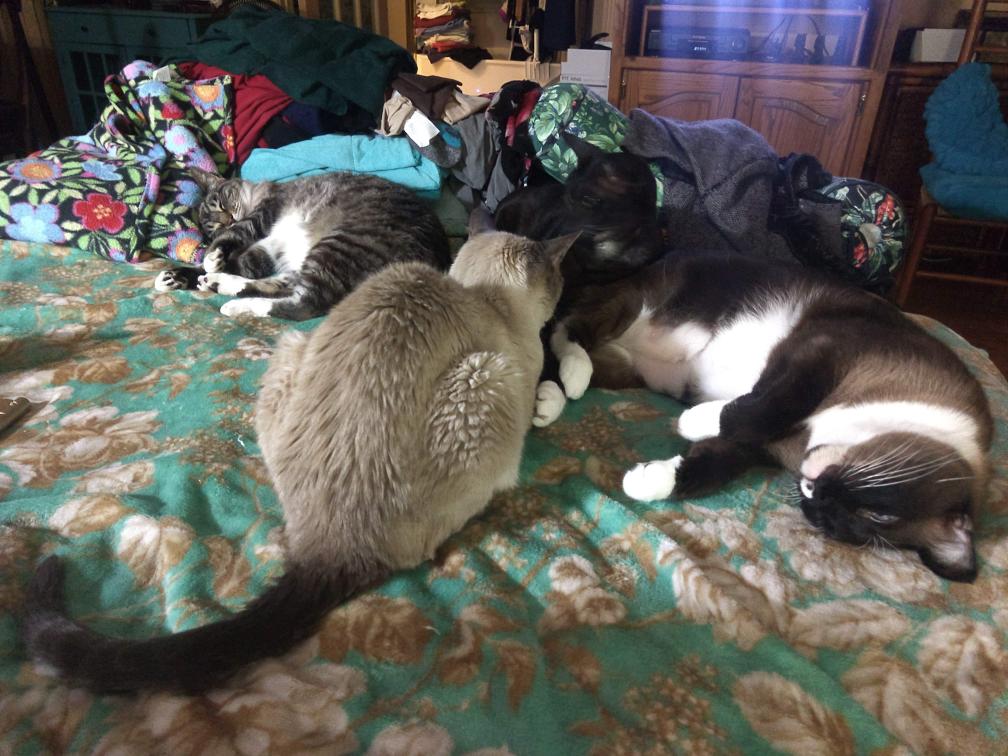 click for larger size