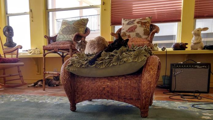 click for larger size