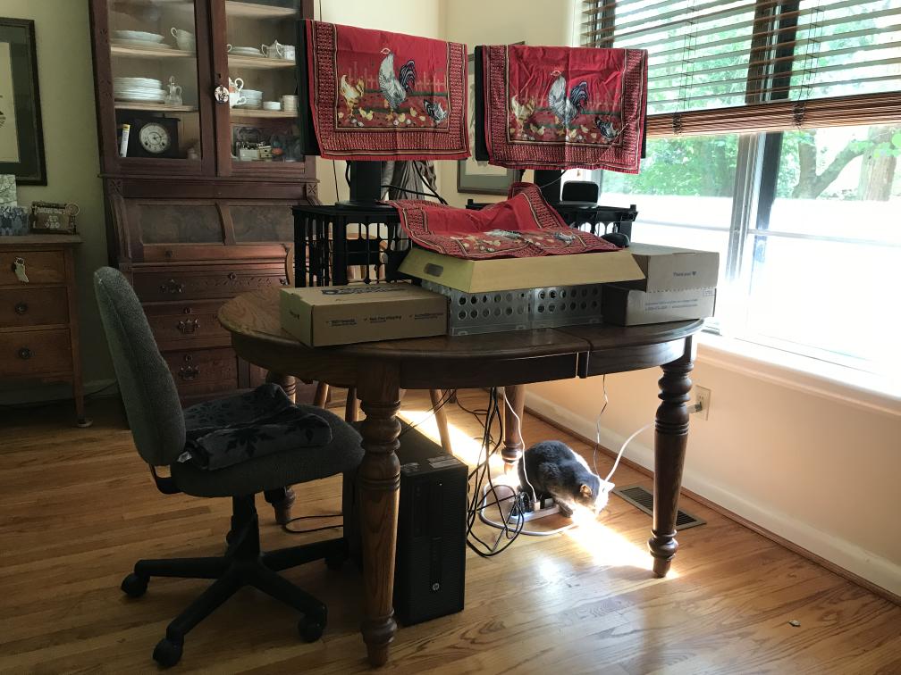 click for larger size