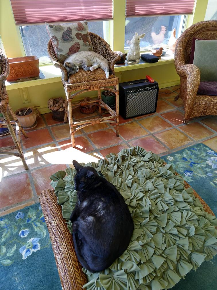 click for larger size