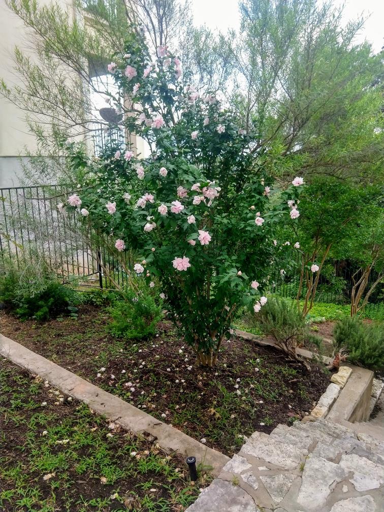 click for larger size