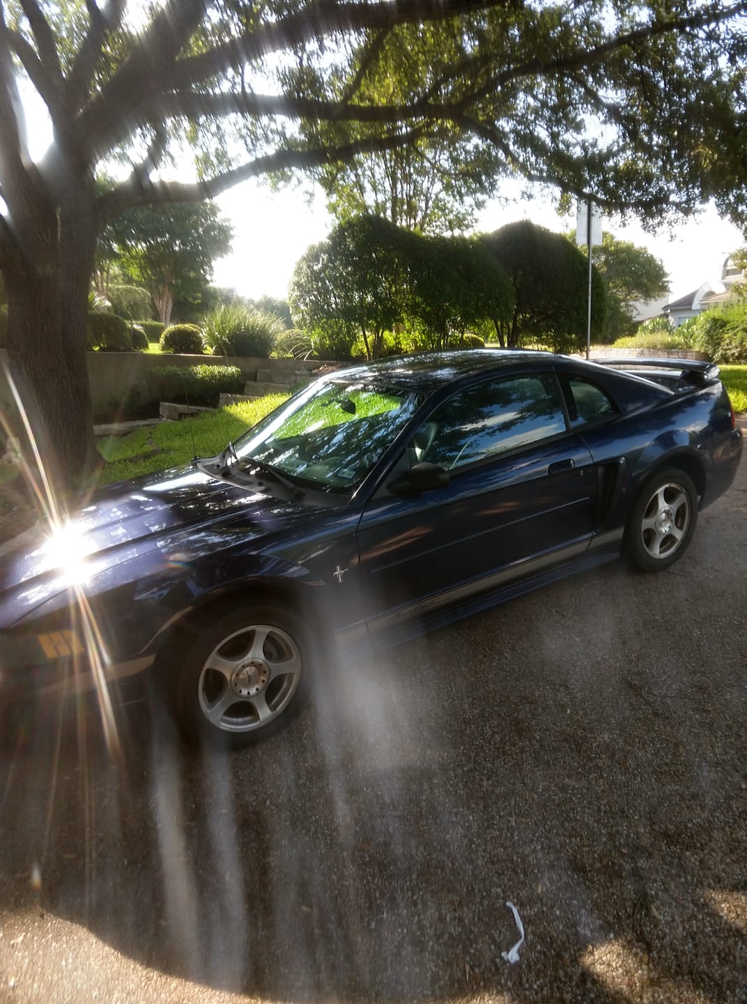 click for larger size