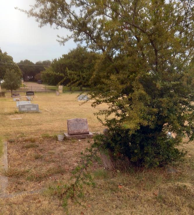 click for larger size