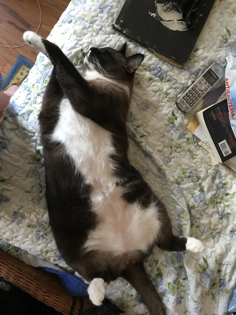 click for larger size