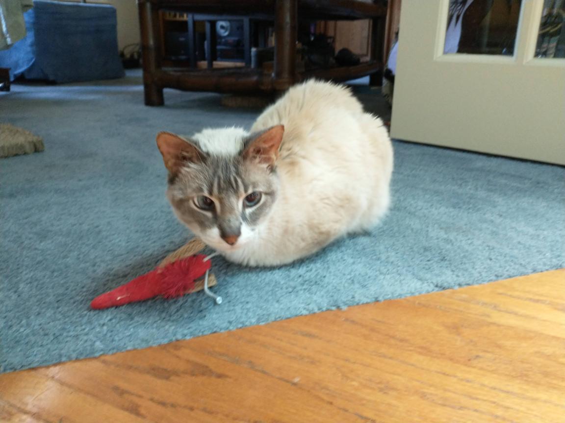 click for larger size