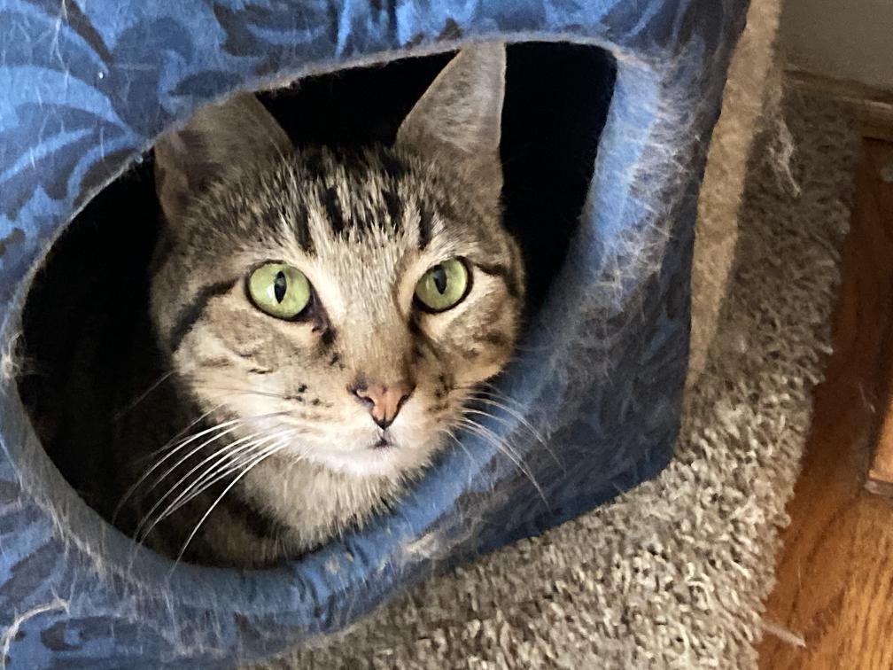 click for larger size