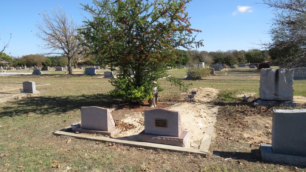 click for larger size