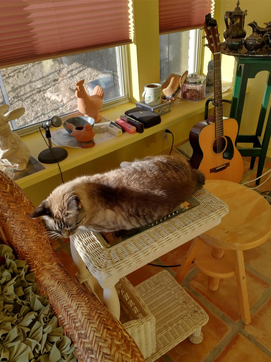 click for larger size