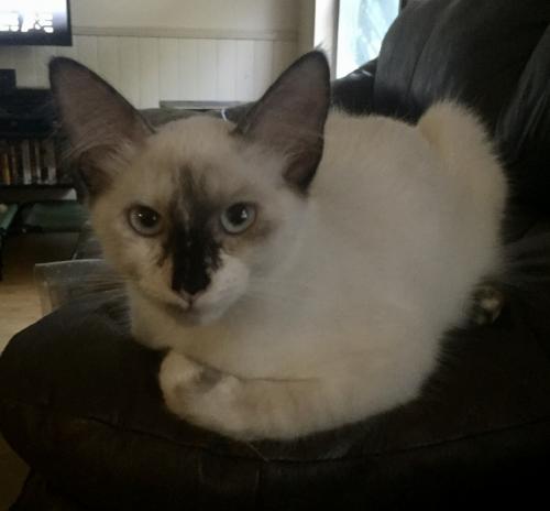 click for larger size