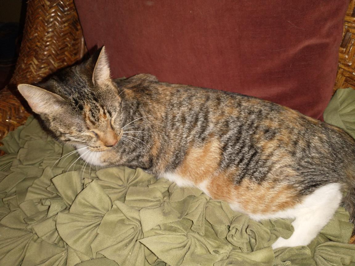 click for larger size