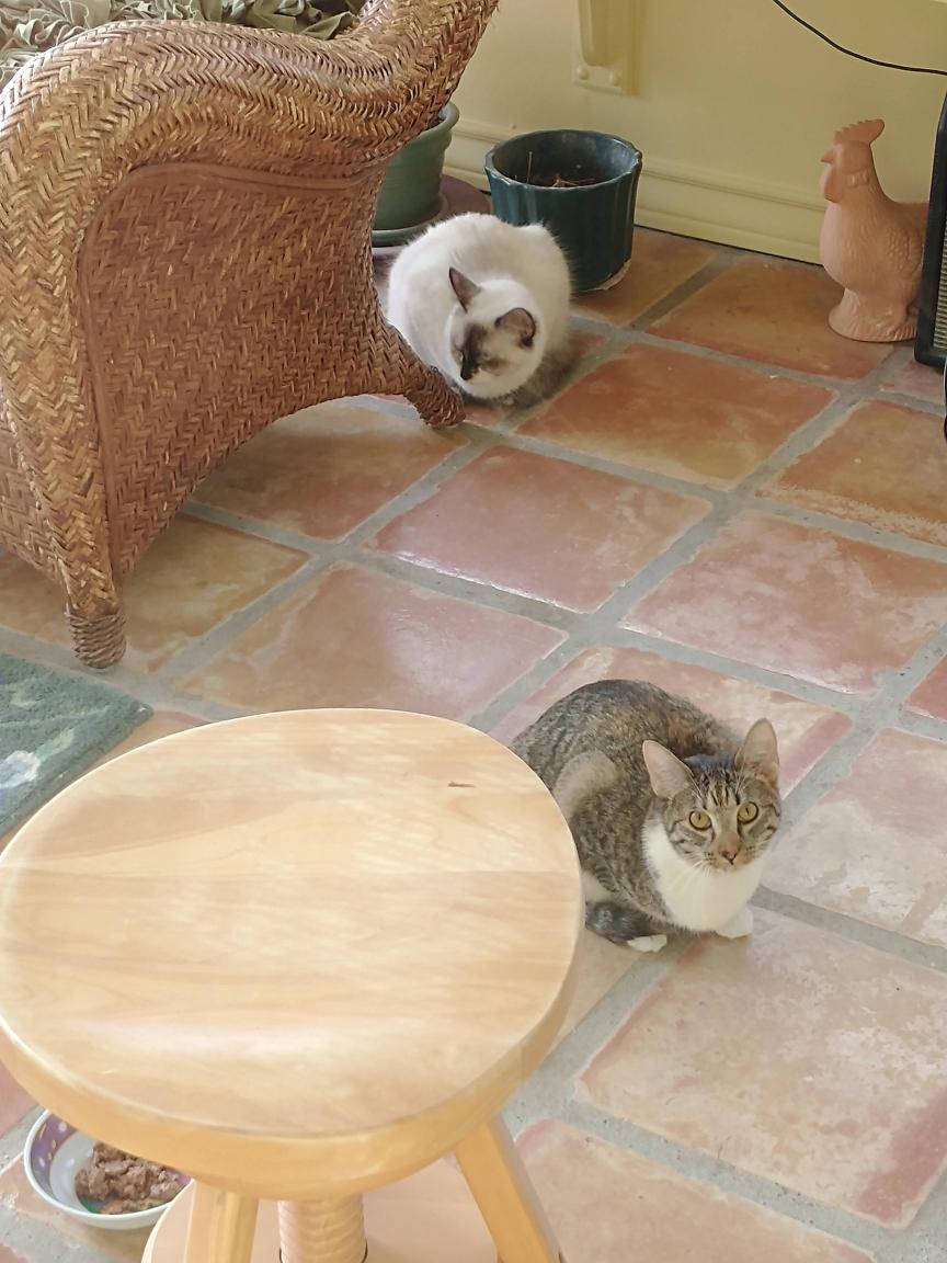 click for larger size