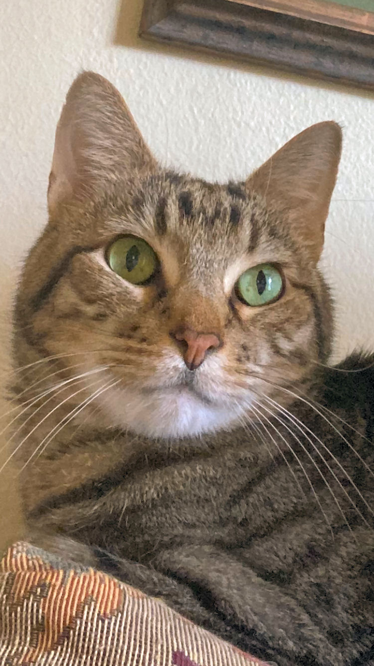 click for larger size