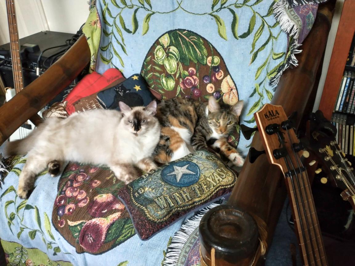 click for larger size