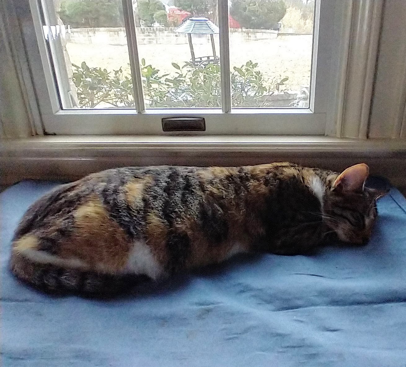 click for larger size