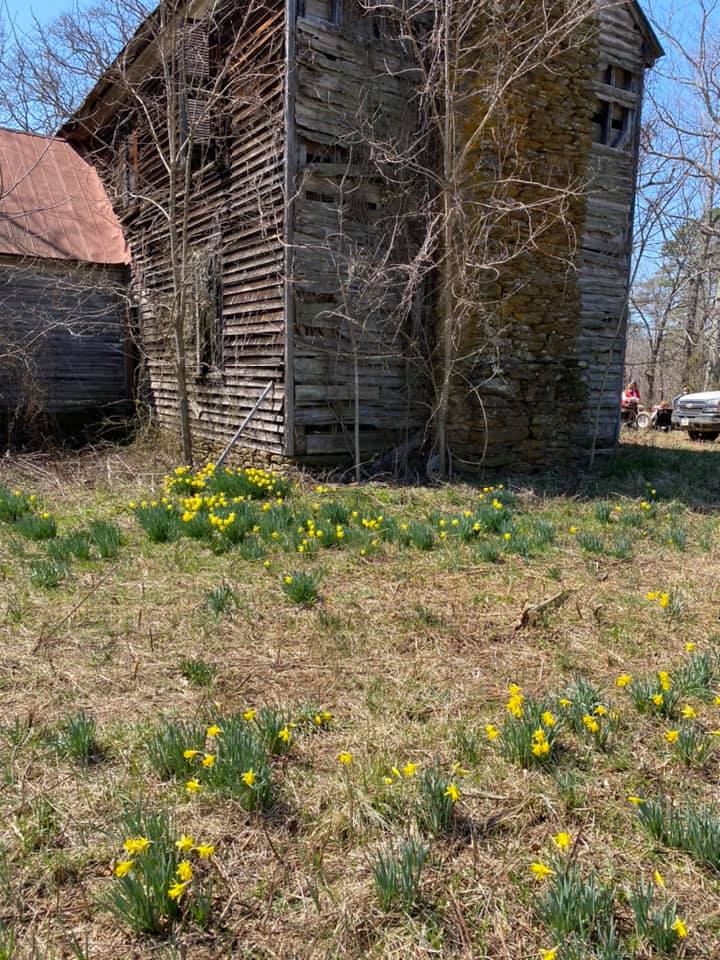 click for larger size