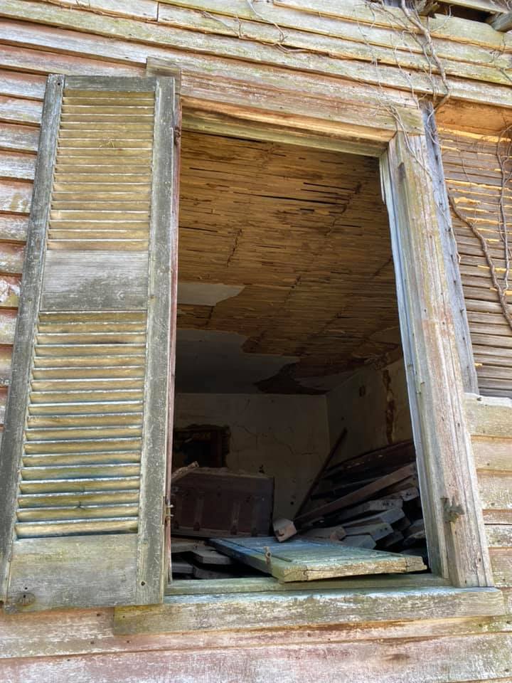 click for larger size