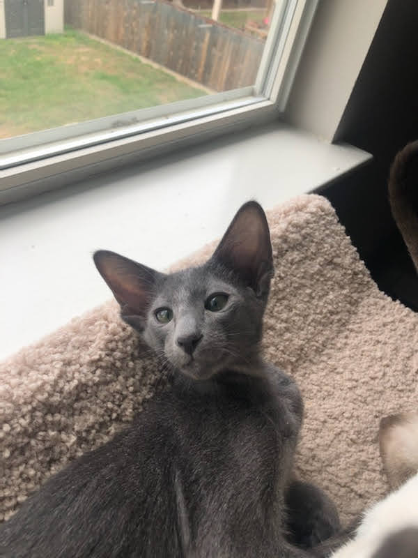 click for larger size