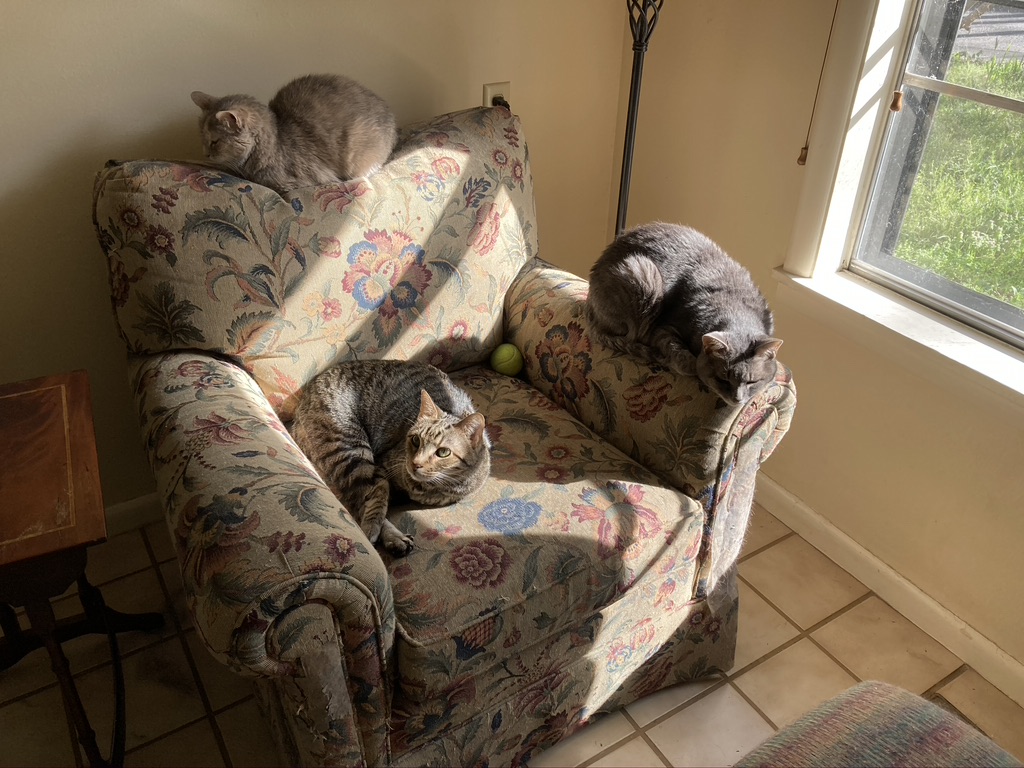 click for larger size