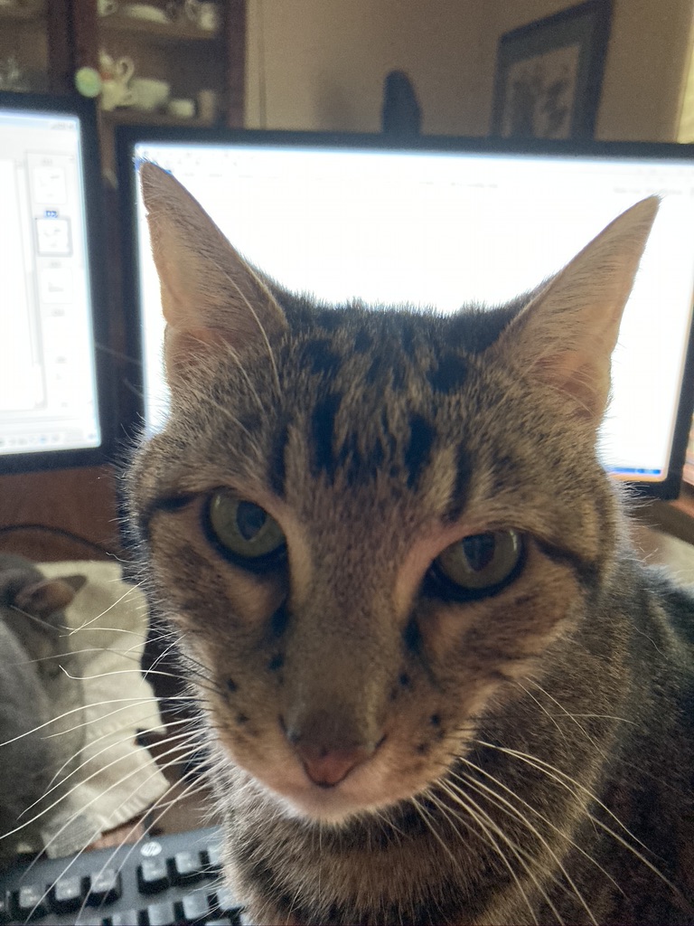 click for larger size