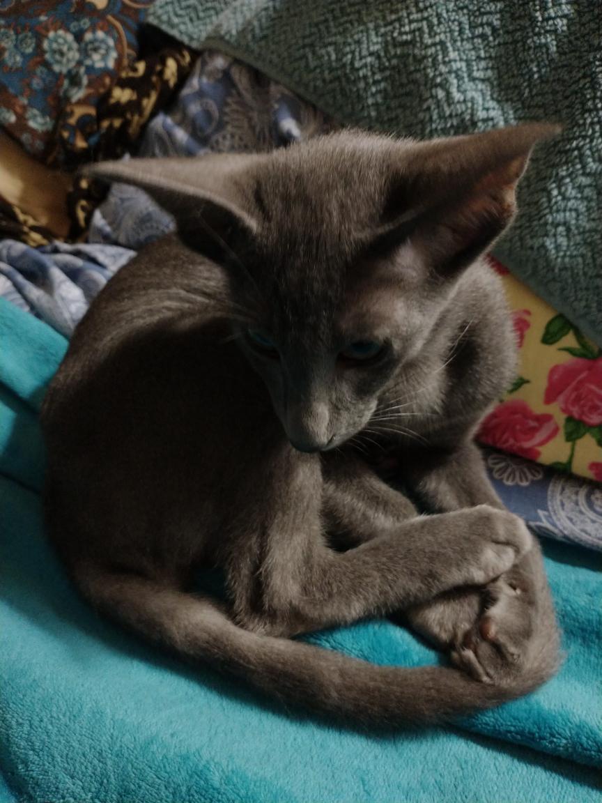 click for larger size