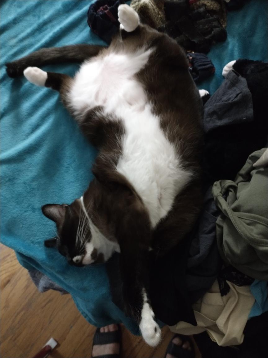 click for larger size