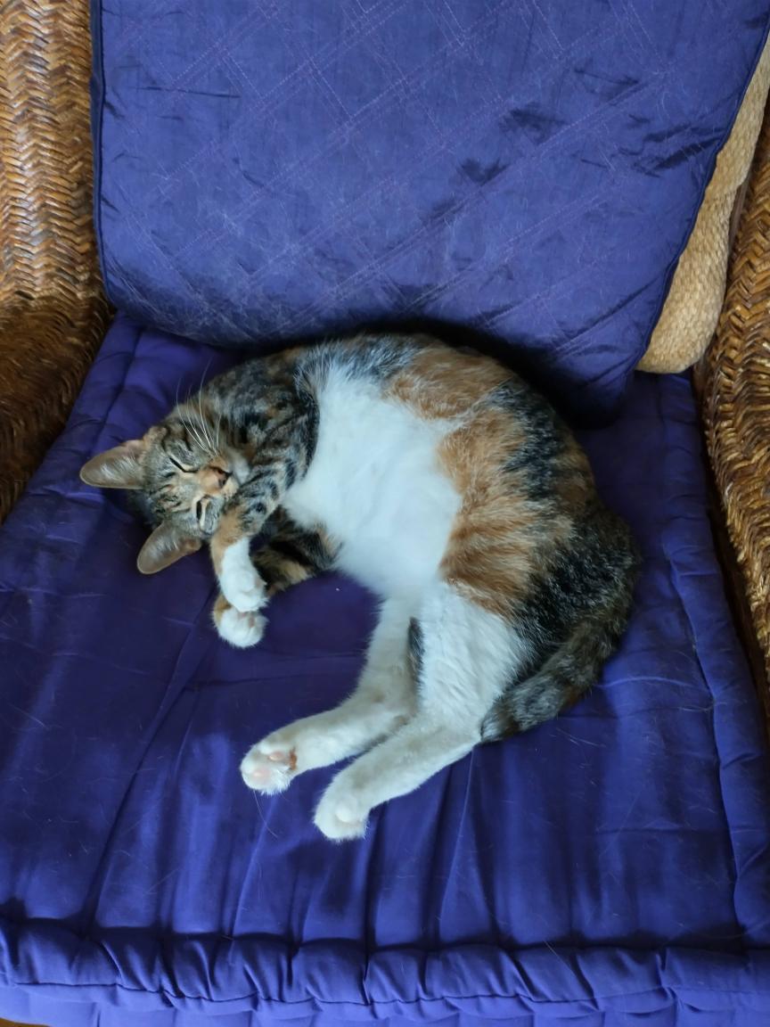 click for larger size