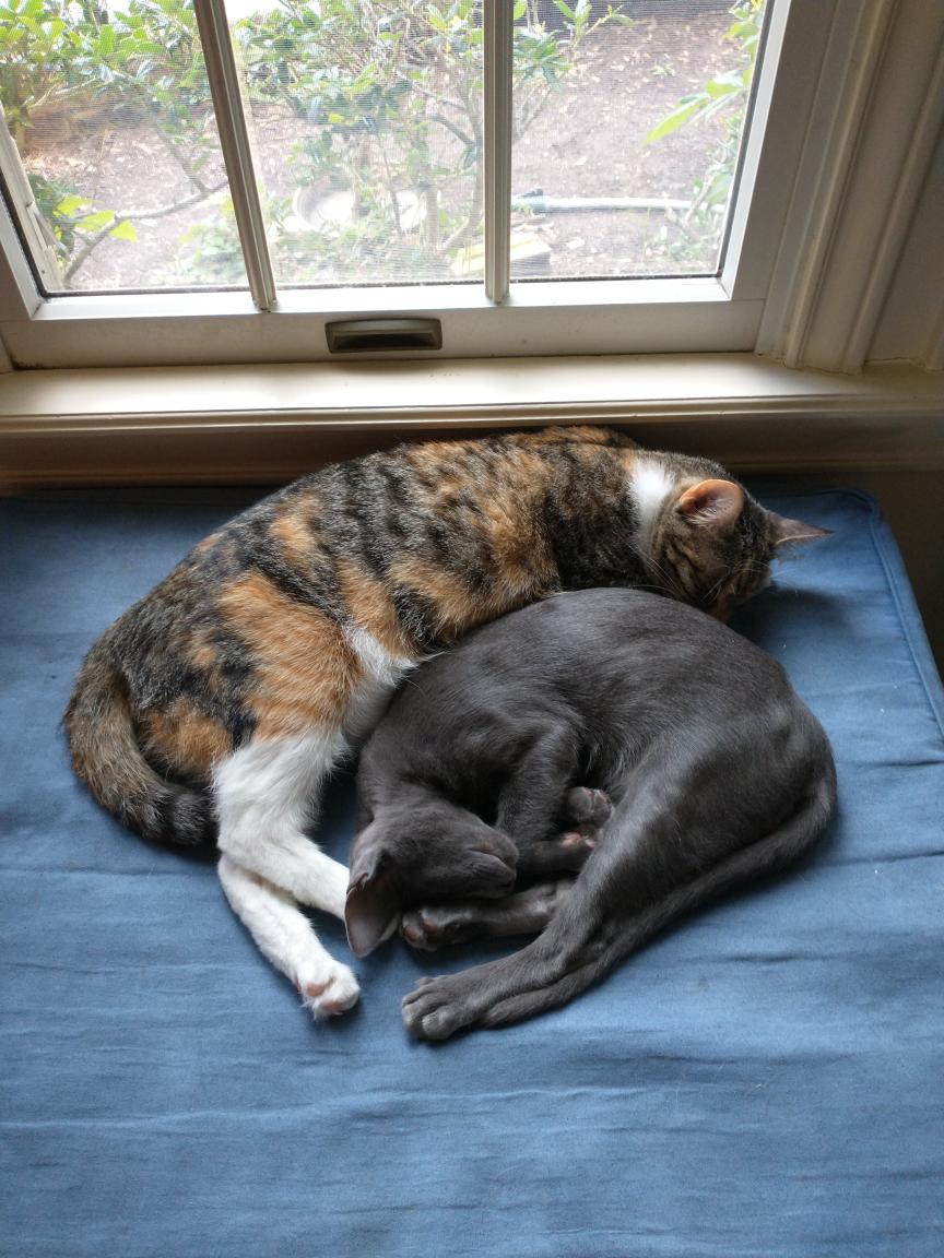 click for larger size