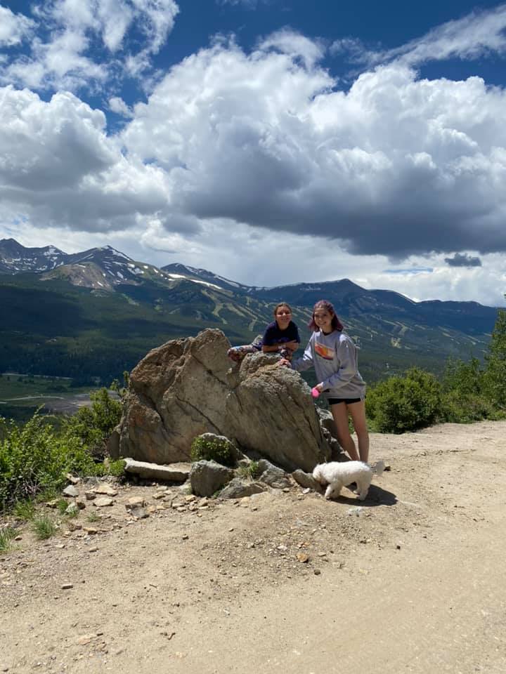 click for larger size