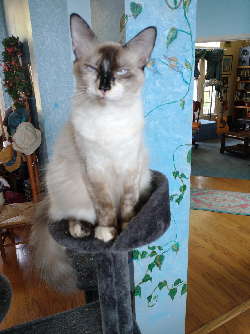 click for larger size