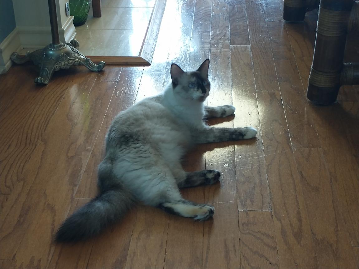 click for larger size