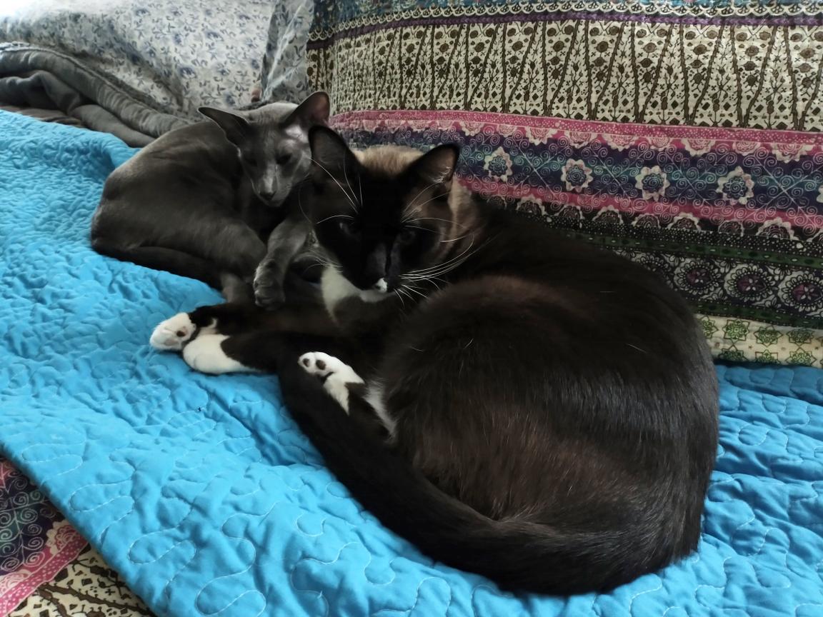 click for larger size