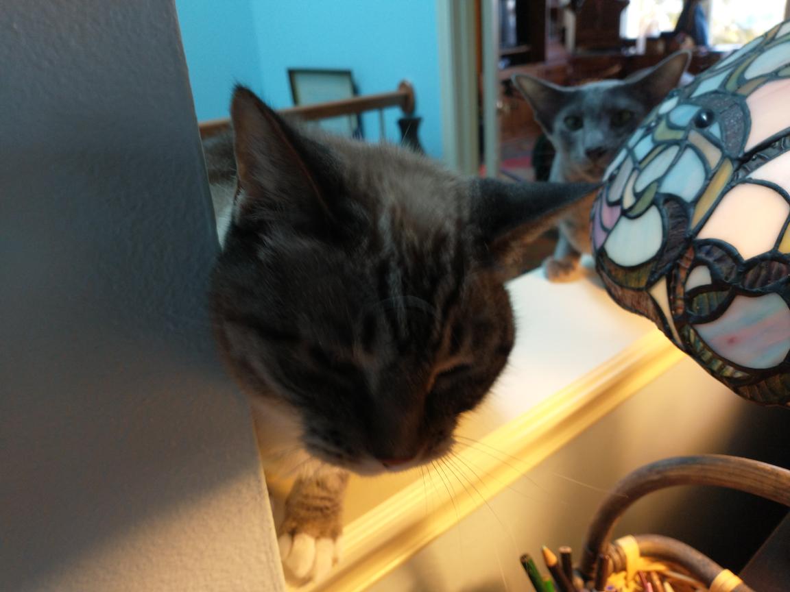 click for larger size