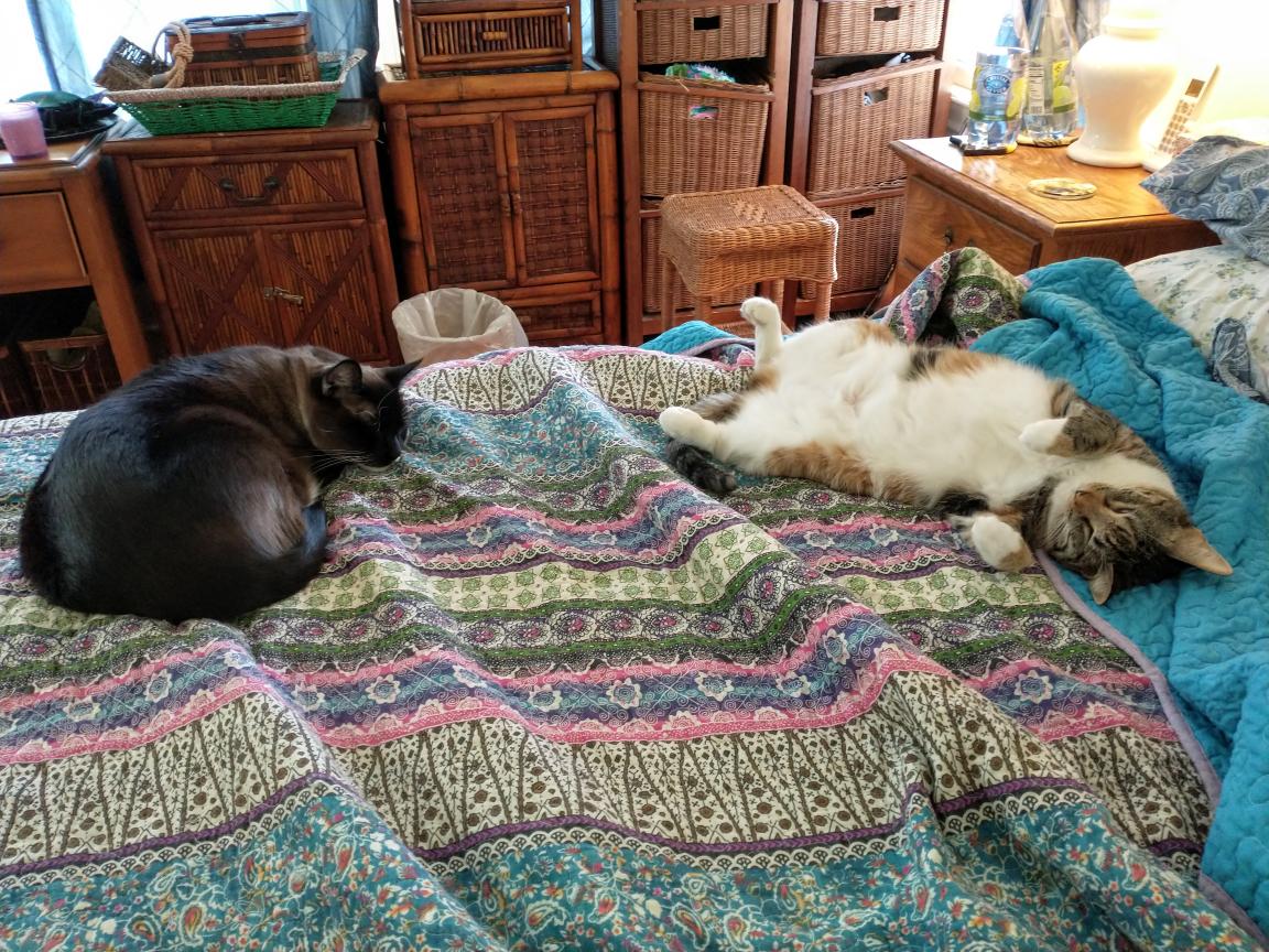 click for larger size