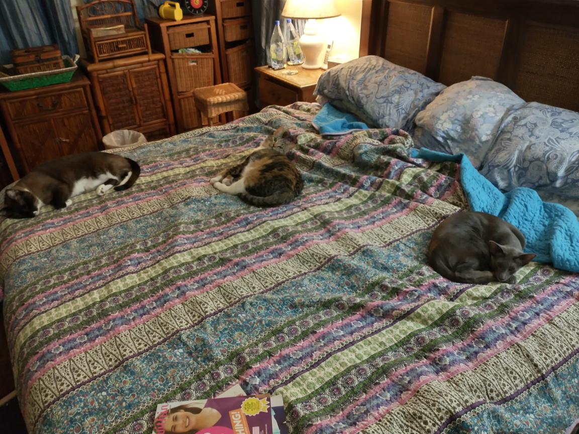 click for larger size