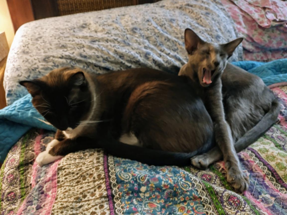 click for larger size